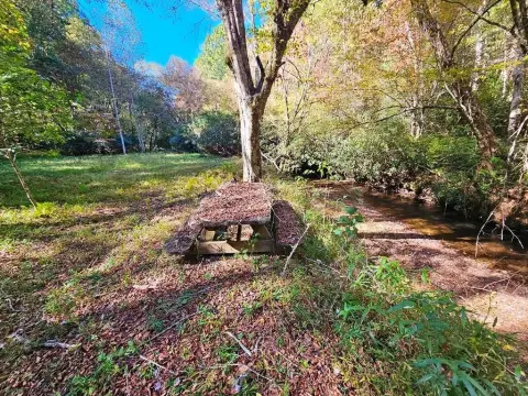 Creek Frontage Vacant Lot