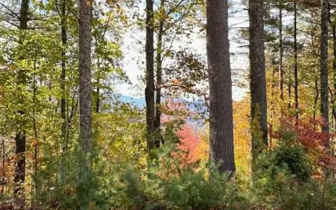 Mountain View Vacant Land