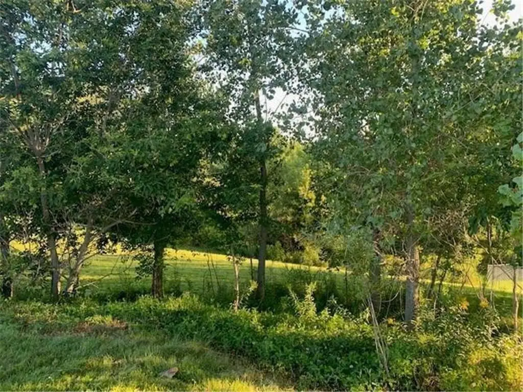 Picture 5