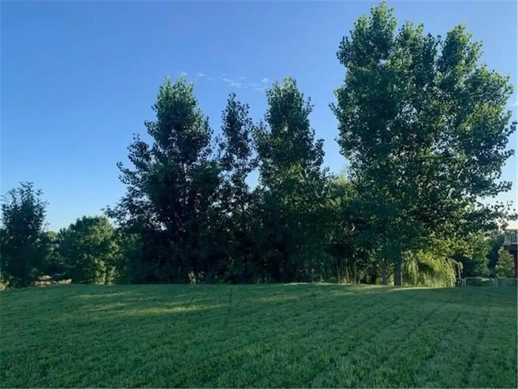 Picture 7