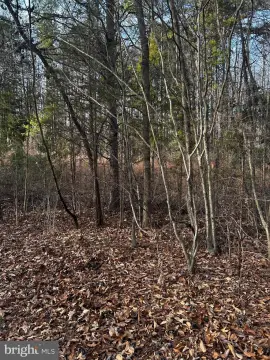 Wooded Land Parcel in Scottsburg