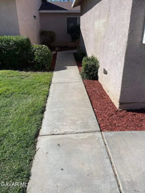 Picture 41