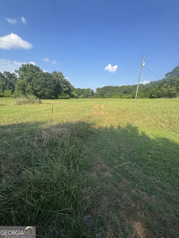 Picture 3