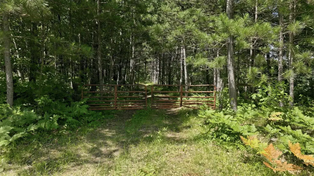 Picture 5