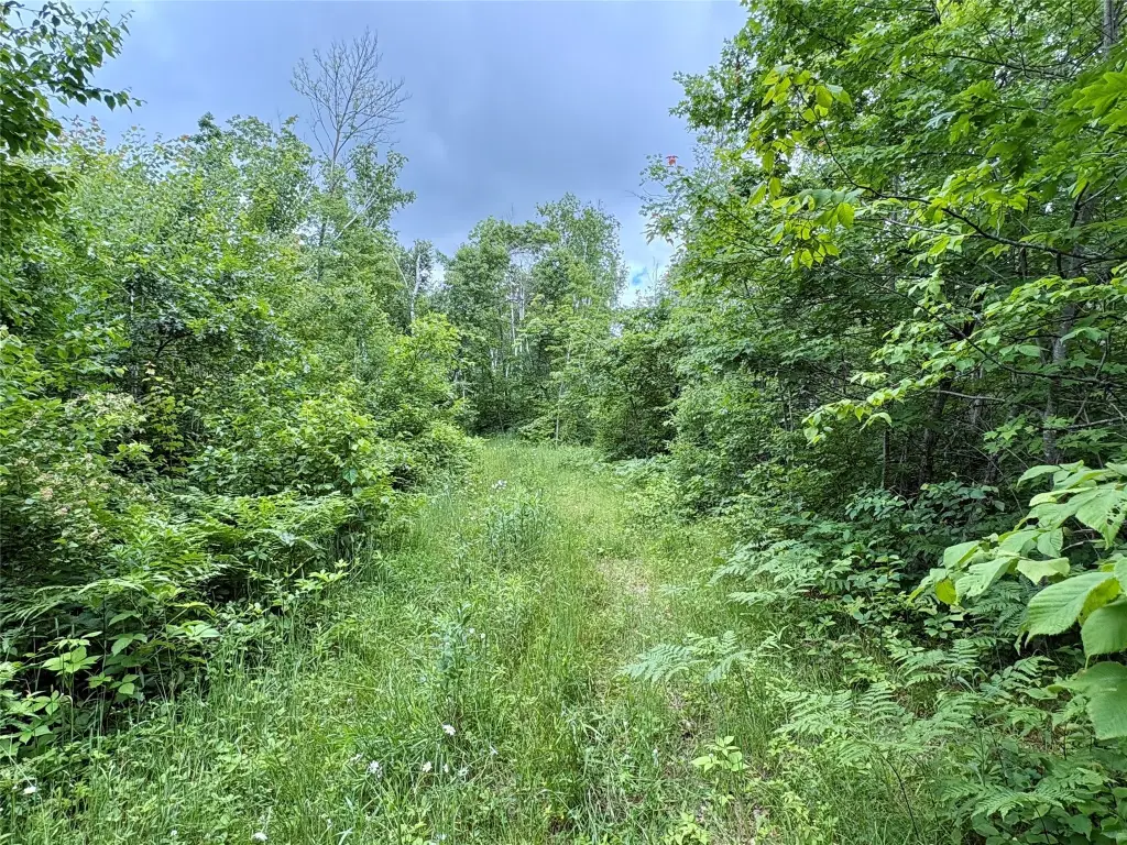 Picture 23