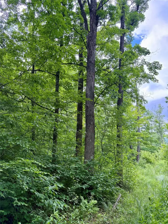 Picture 45