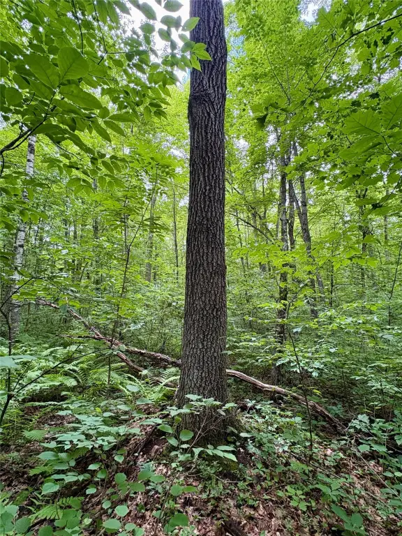 Picture 44