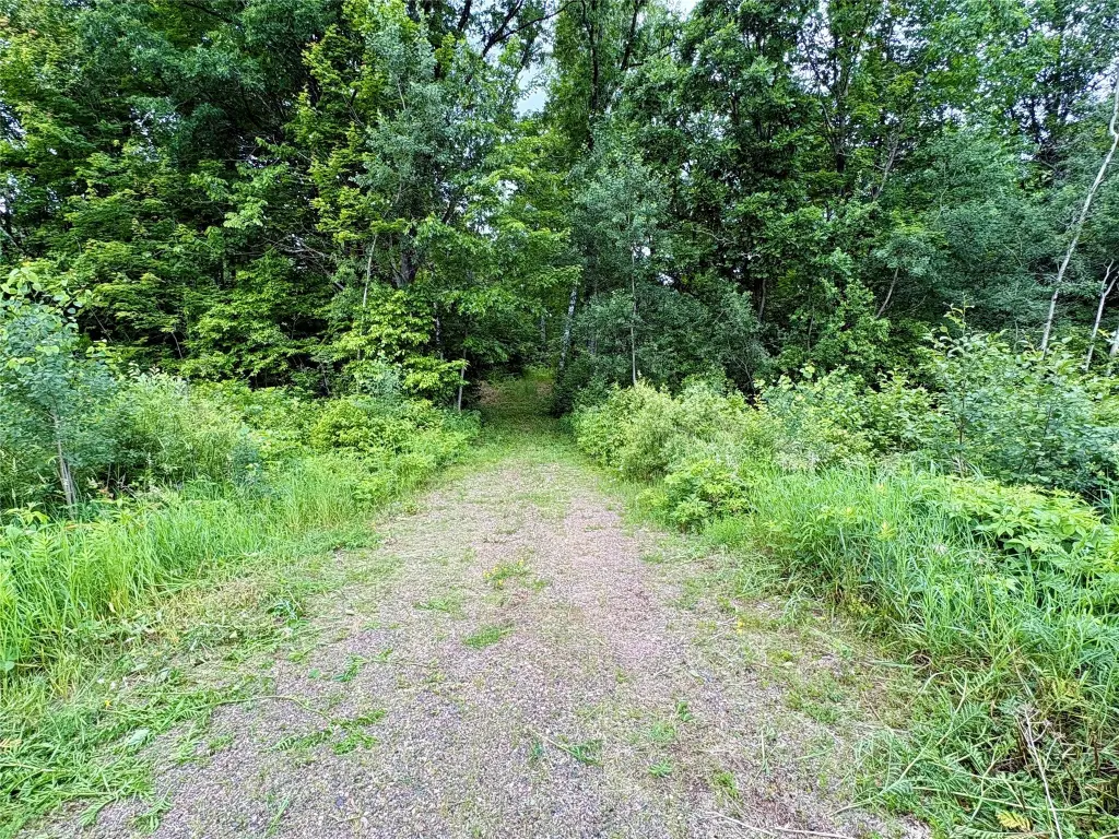 Picture 17