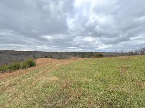 20 Acres of Kentucky Land