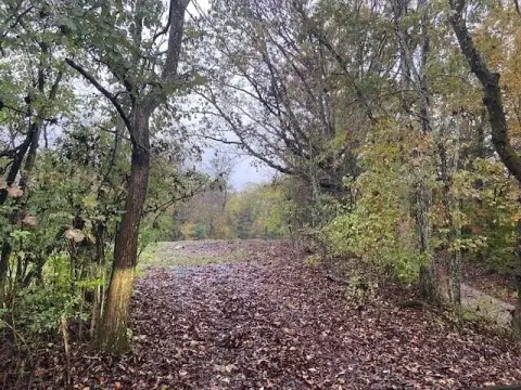 Brooksville, KY Land For Sale