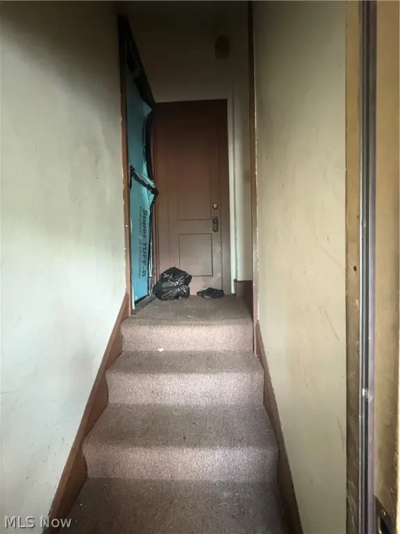 Picture 29