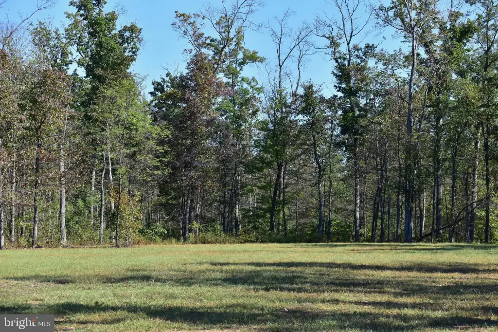 Picture 18