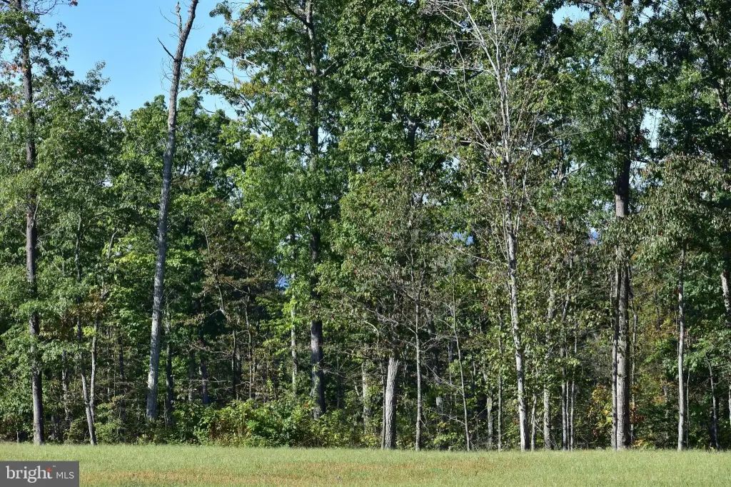 Picture 30