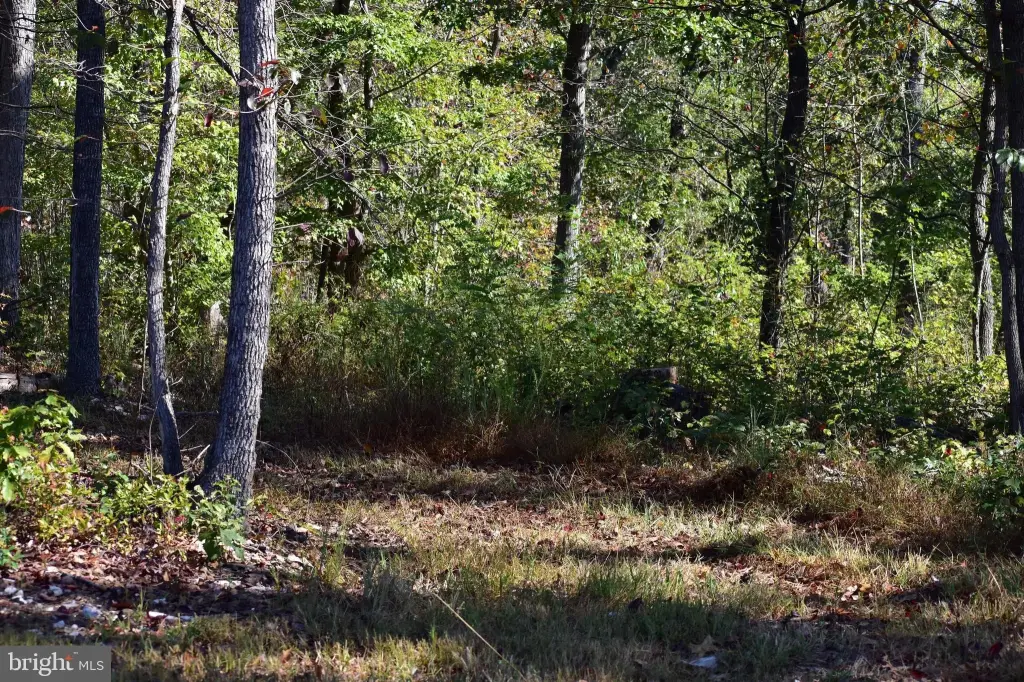 Picture 28