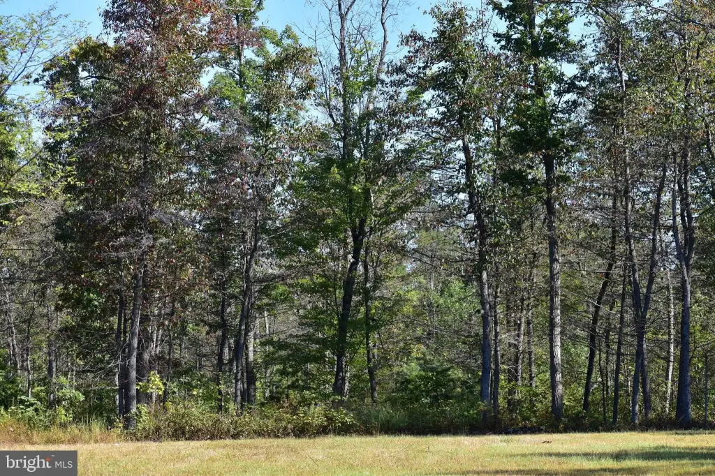 Picture 21