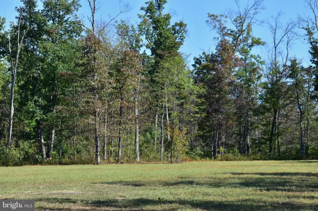 Picture 19