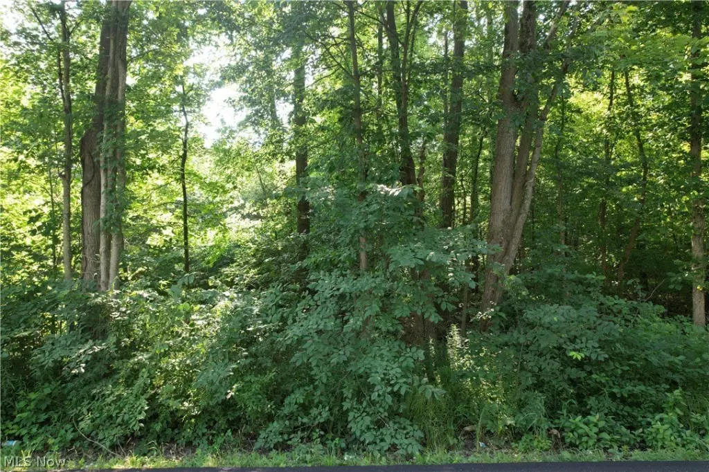 Picture 10