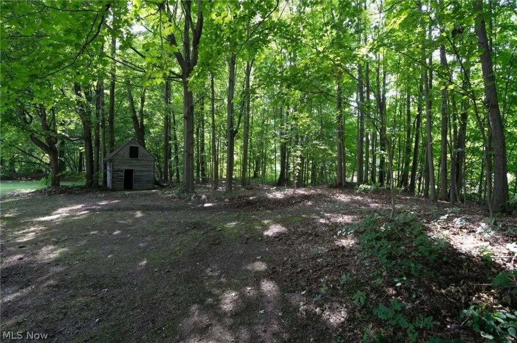 Picture 15