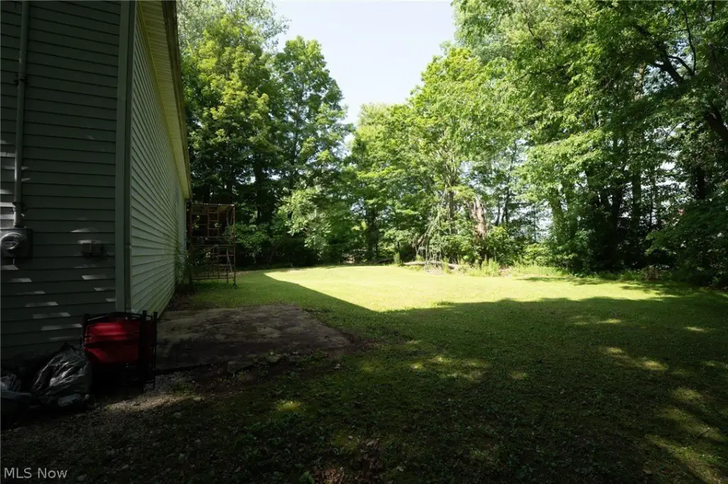 Picture 11