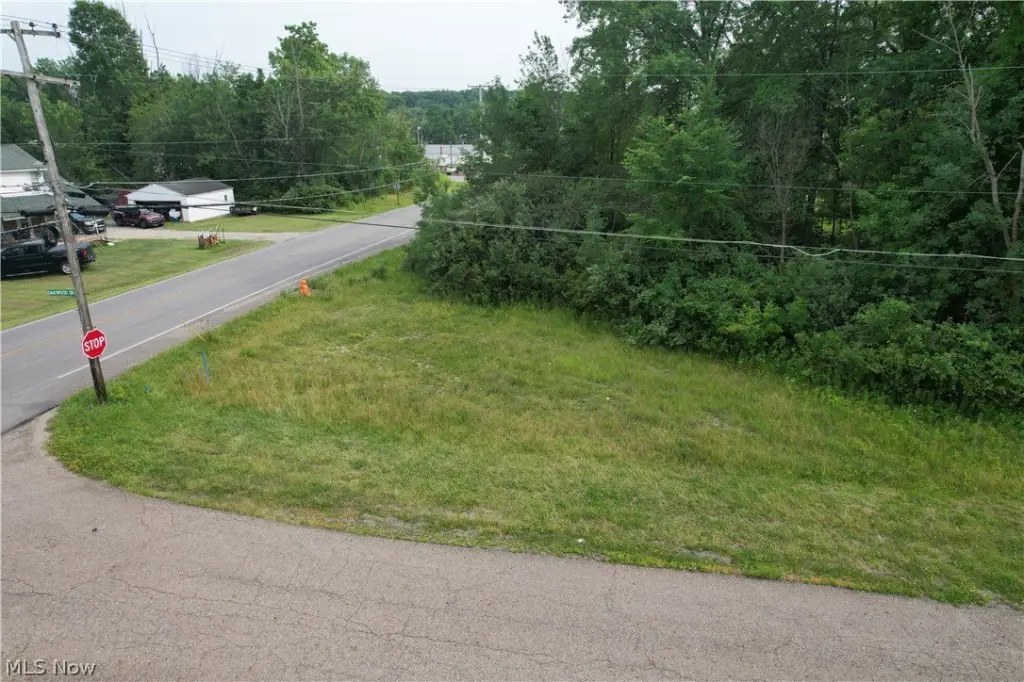 Picture 8