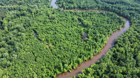 56-Acre Riverfront Hunting Land