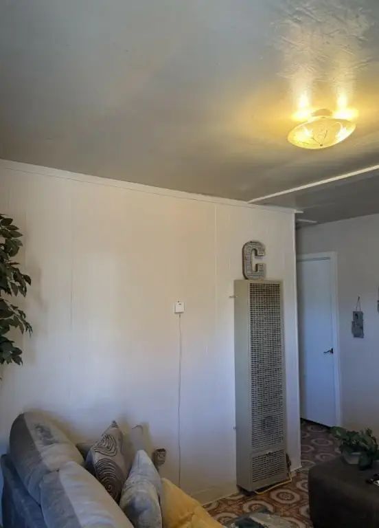 Picture 3