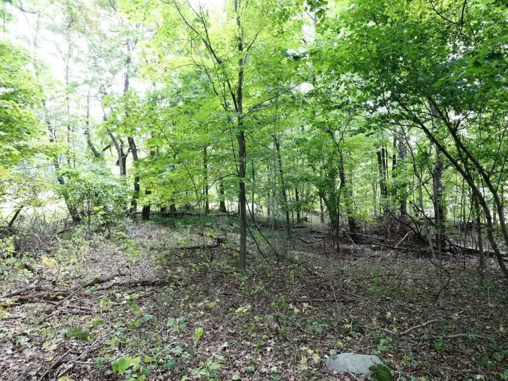 Picture 9