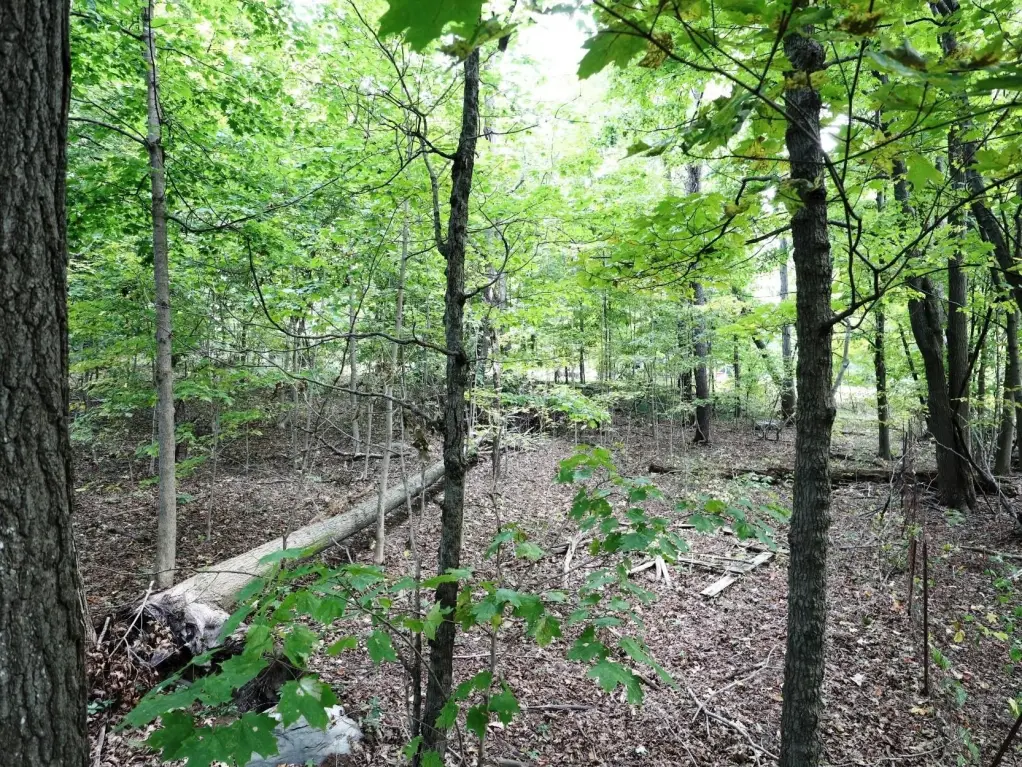 Picture 8