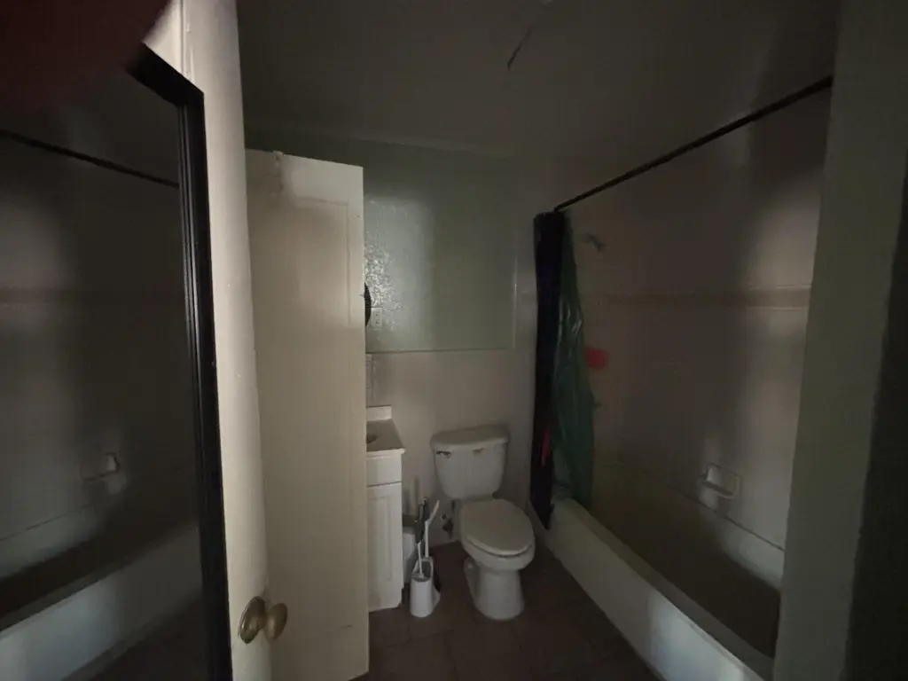 Picture 21