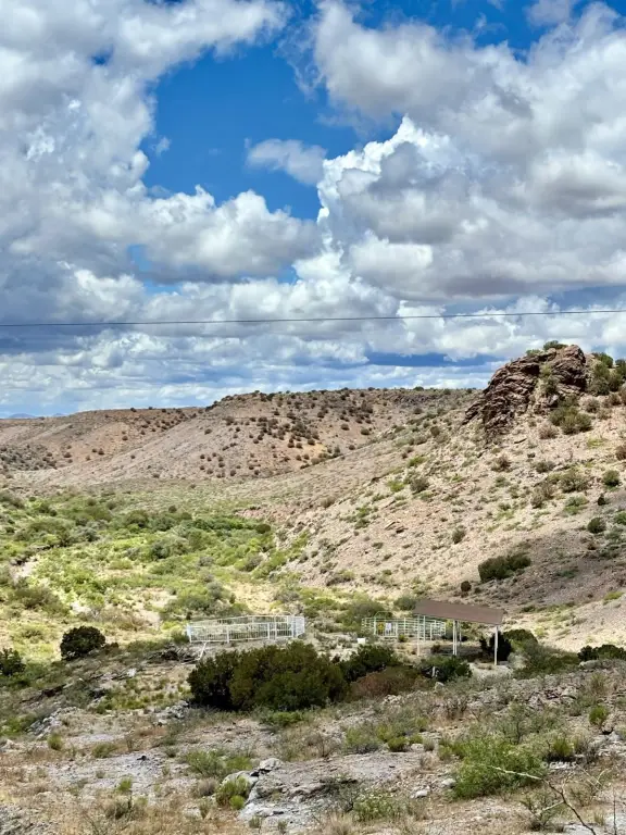 Picture 20