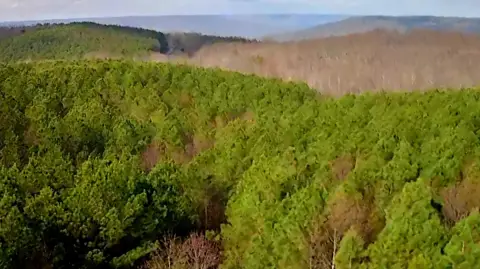 South Pittsburg Wooded Lot