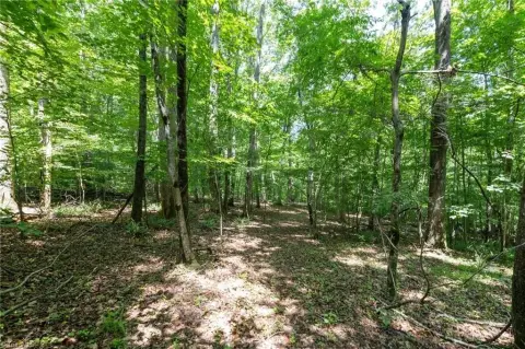 20.55 Acres in Whitsett