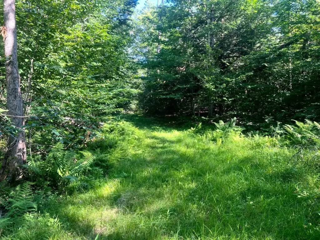 Picture 3