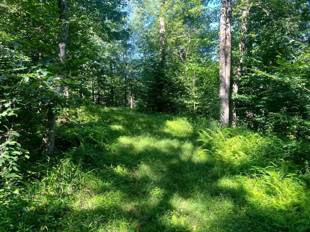 Picture 8