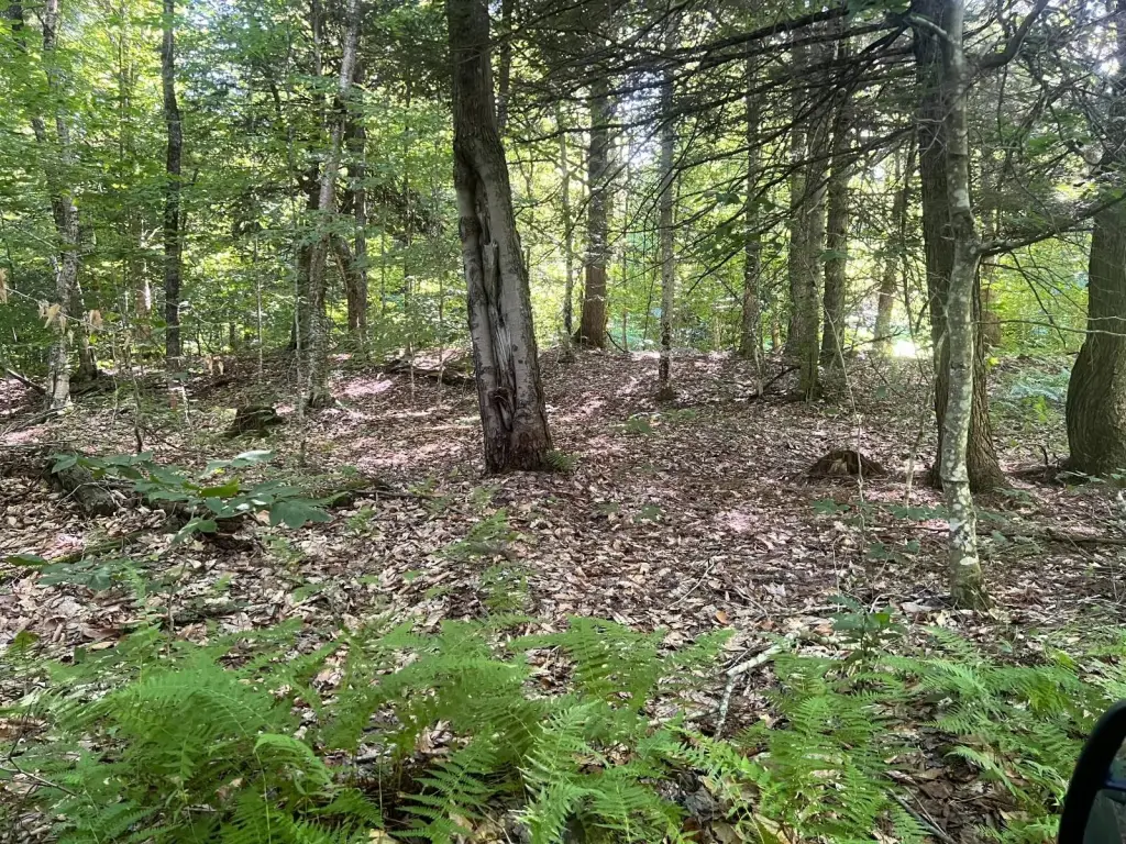 Picture 18