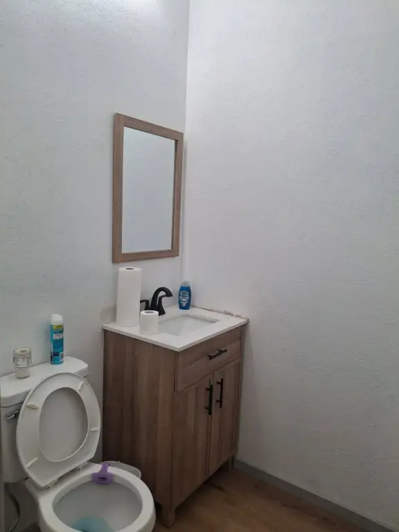 Picture 12