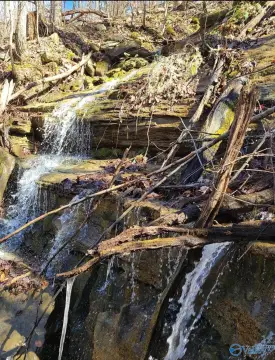 Gurley, AL Acreage For Sale