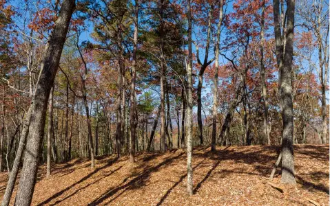 Ellijay, GA River Access Lot
