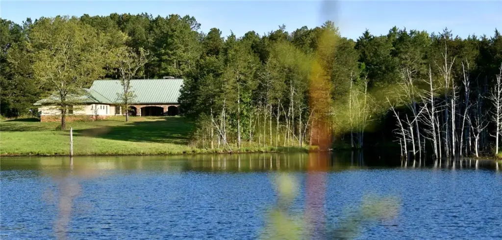 Picture 45