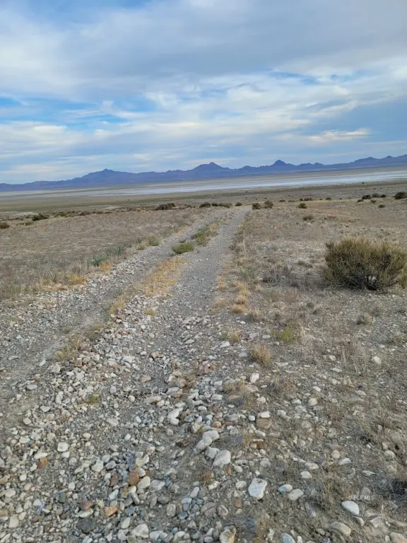 Picture 10