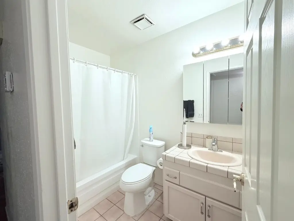 Picture 18