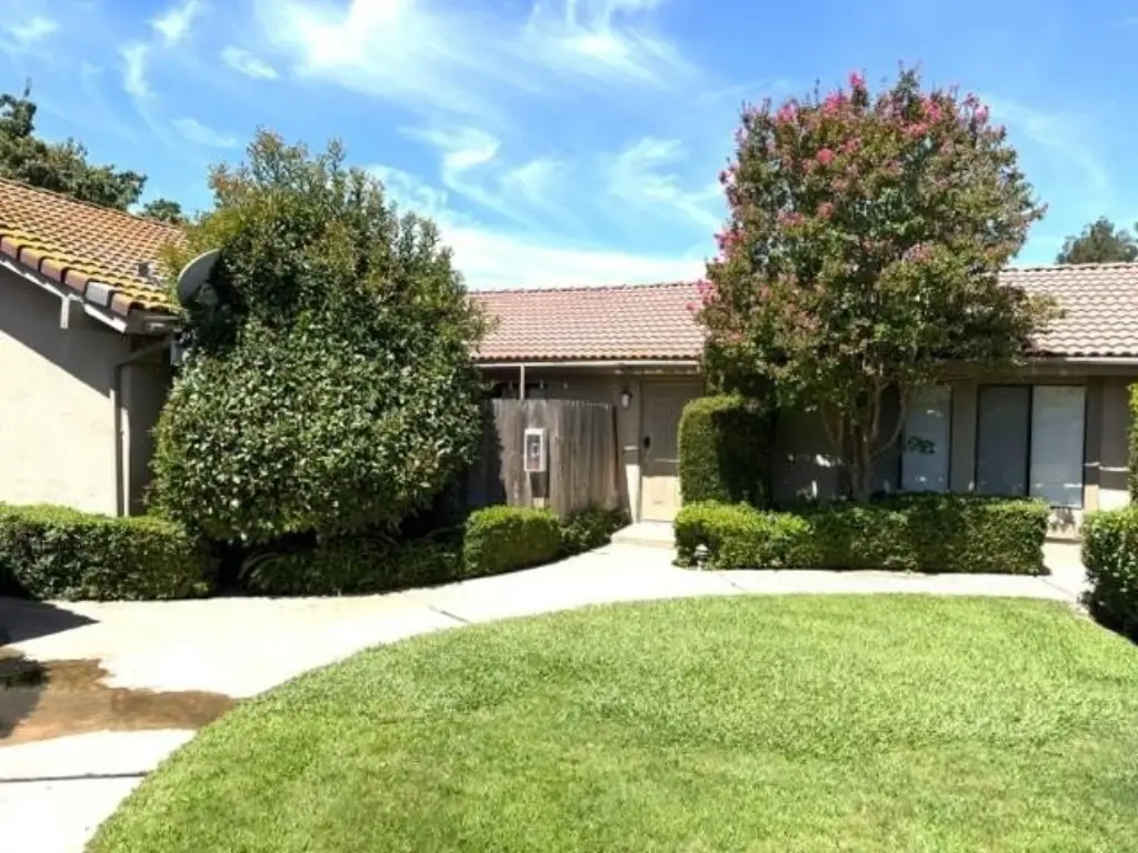 Picture 4