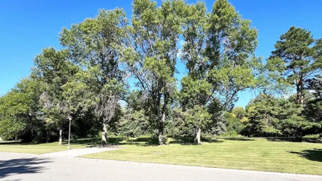 Picture 4