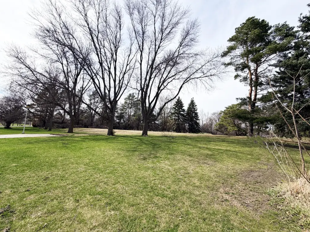 Picture 9