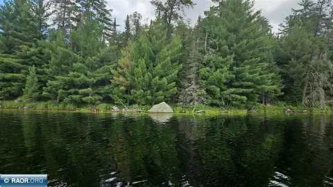 Remote Wooded Lake Lot