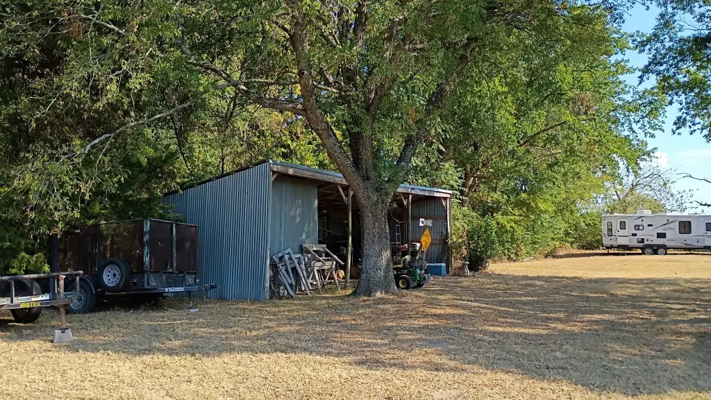 Picture 8