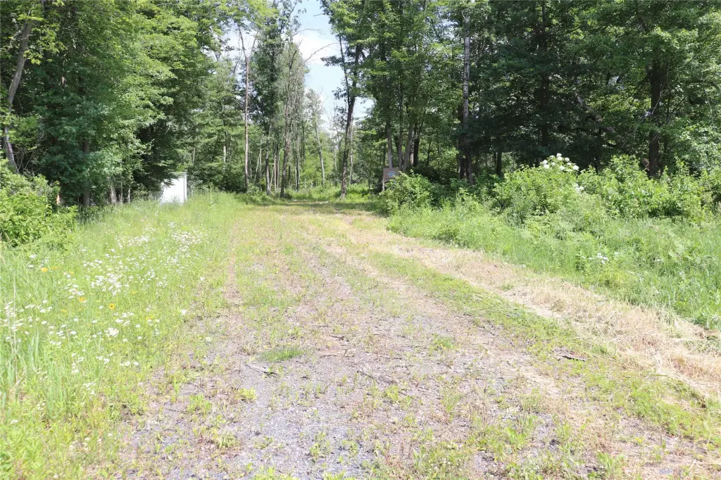 Picture 26
