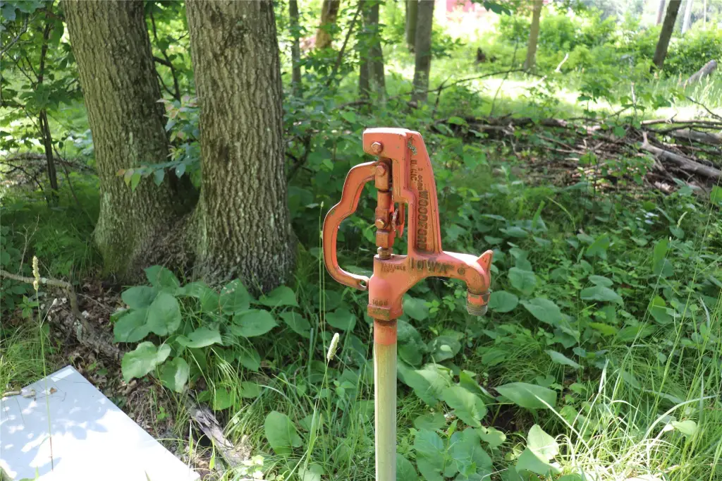 Picture 17