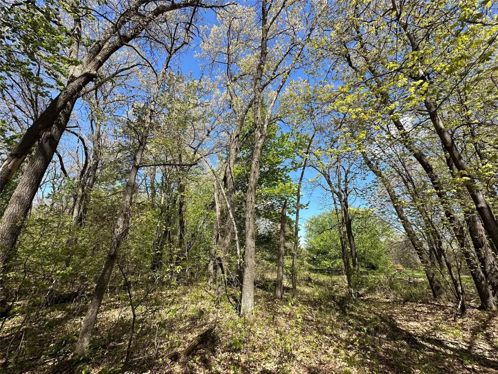 Picture 29