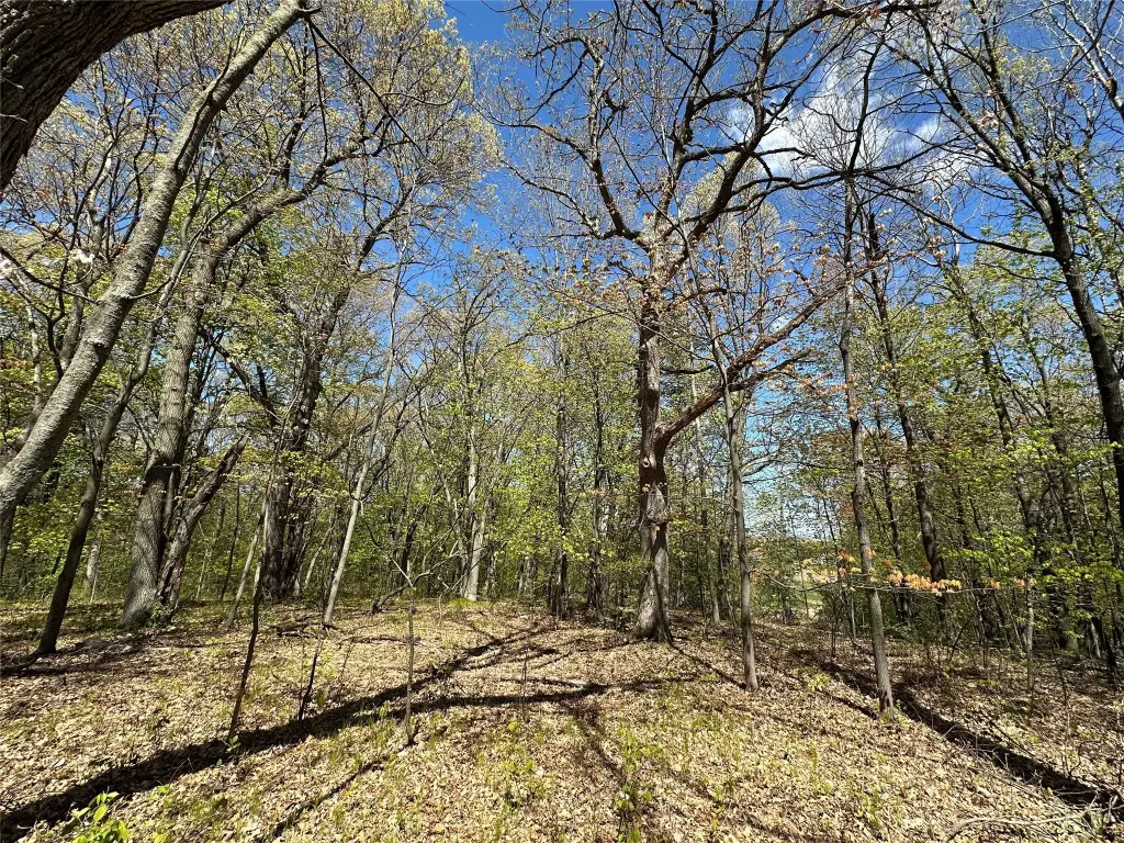 Picture 30